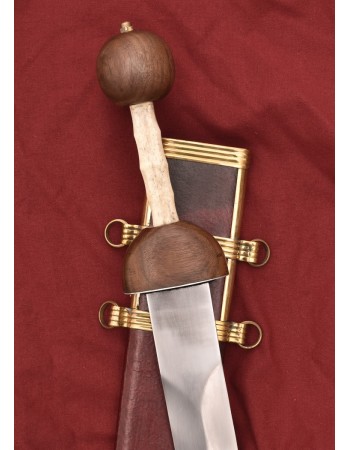 Glaive Romain