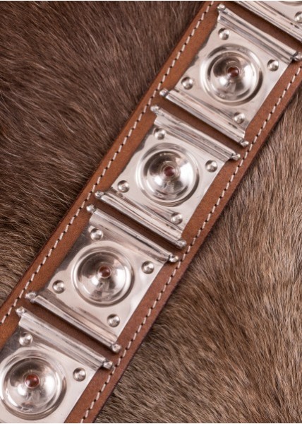 Rheingonheim Cingulum - ceinture romaine