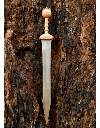 Gladius de Dubravica - glaive romaine avec fourreau