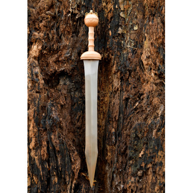 Gladius de Dubravica - glaive romaine avec fourreau