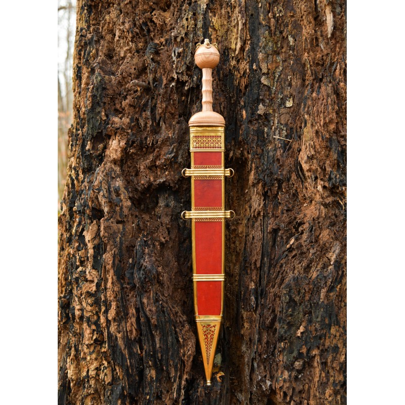 Gladius de Dubravica - glaive romaine avec fourreau