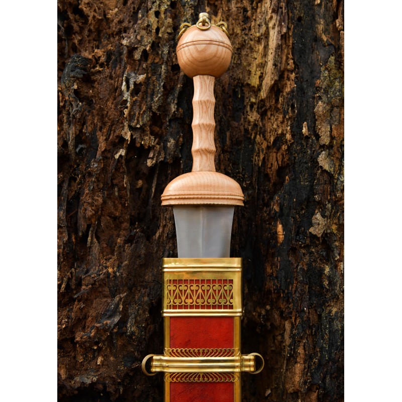 Gladius de Dubravica - glaive romaine avec fourreau