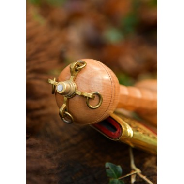 Gladius de Dubravica - glaive romaine avec fourreau