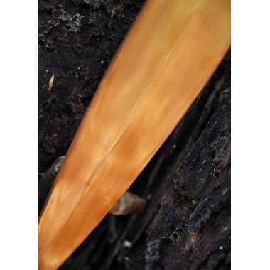 Épée celtique en bronze