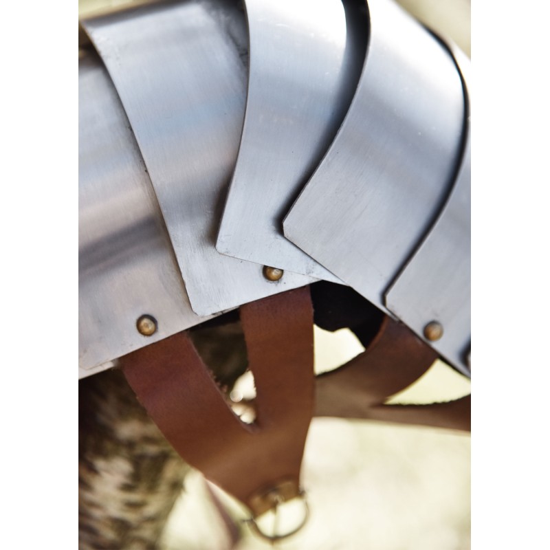 Manica pour lorica segmentata