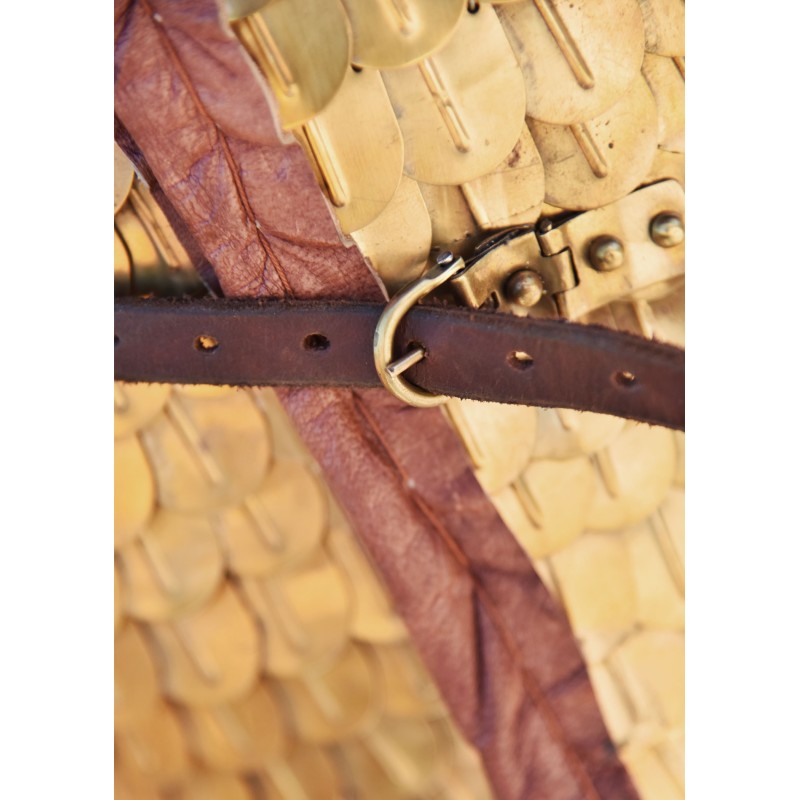 Lorica Squamata, armure romaine à écailles avec renforts d'épaules