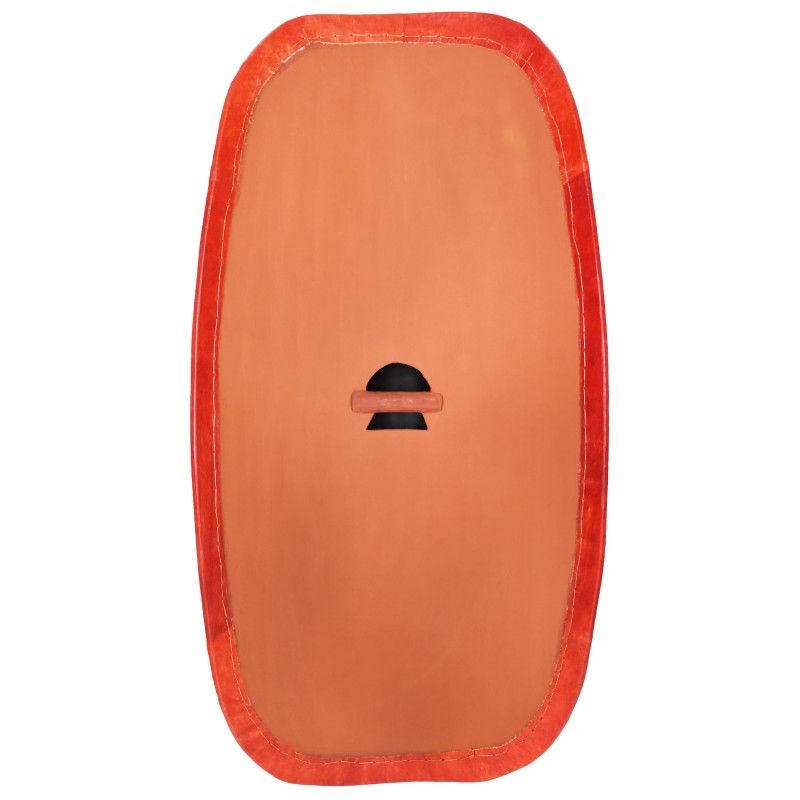 Bouclier Romain Républicain