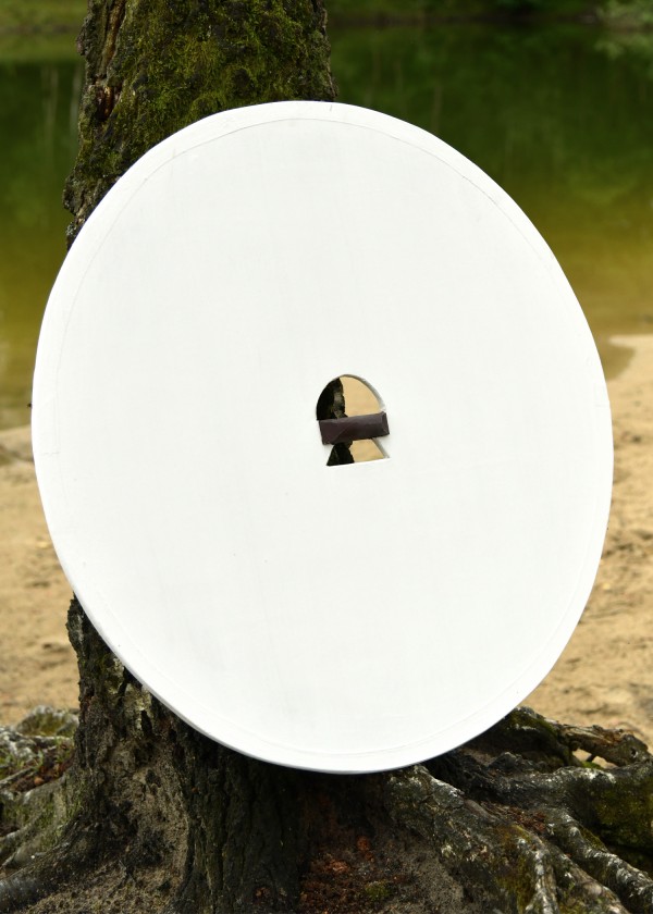 Bouclier rond viking