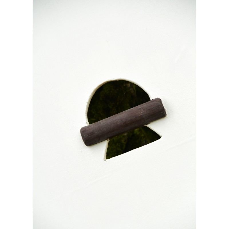 Bouclier rond viking