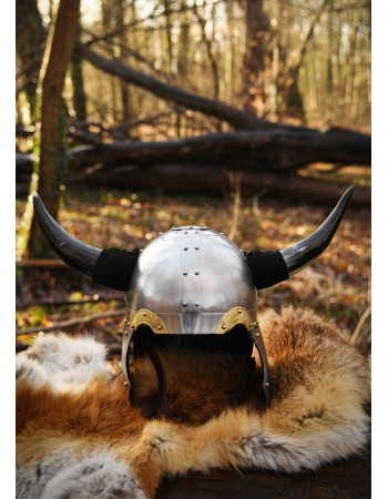 Casque Viking à cornes