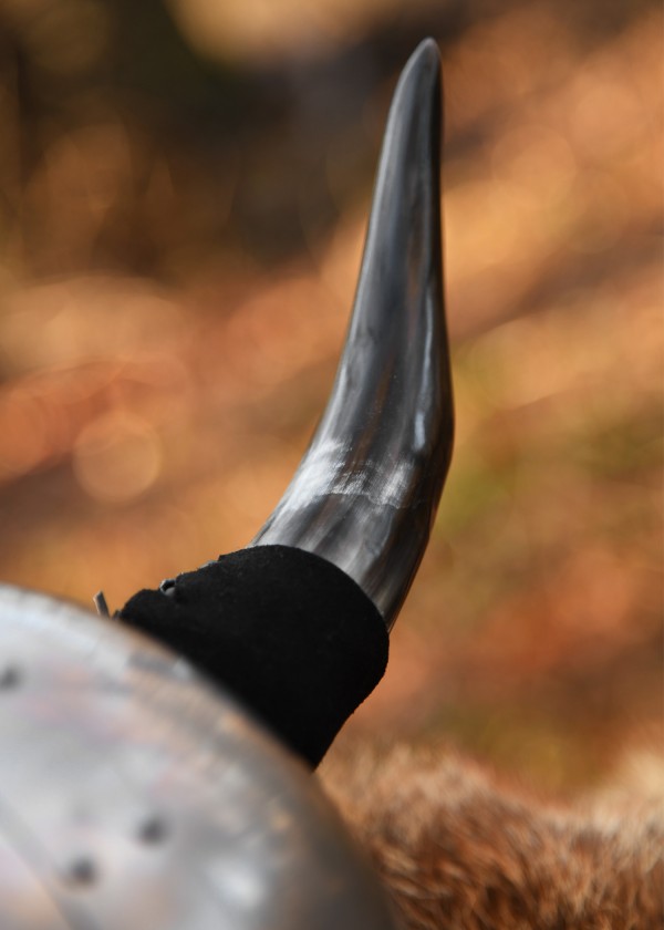 Casque Viking à cornes