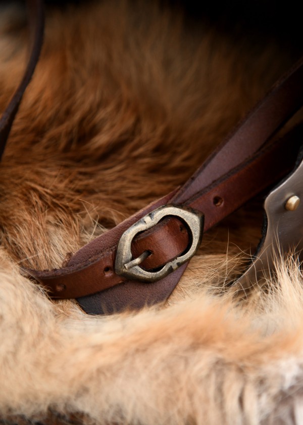 Casque Viking à cornes