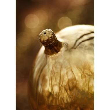 Casque républicain Montefortino