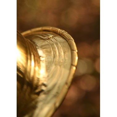 Casque républicain Montefortino