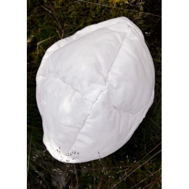 Casque de cavalerie Ribchester