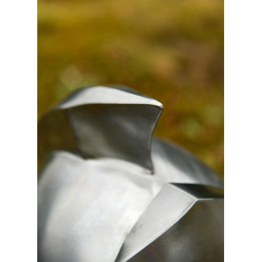 Casque de gladiateur Maximus