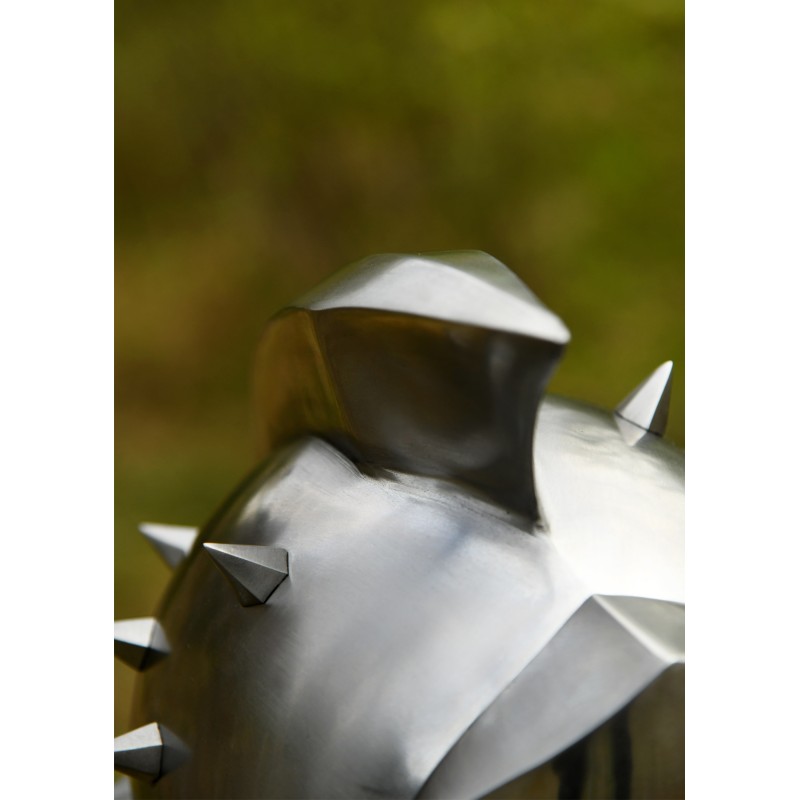 Casque de gladiateur Maximus