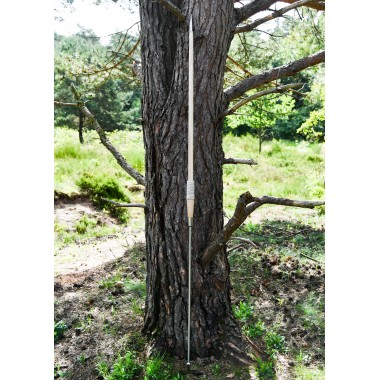 Pilum romain avec manche en bois