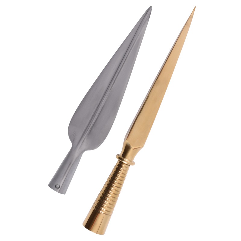 Fer de lance et pointe de lance