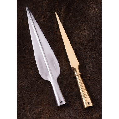 Fer de lance et pointe de lance
