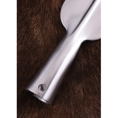 Fer de lance et pointe de lance