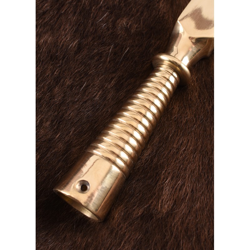 Fer de lance et pointe de lance