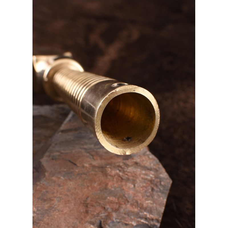 Fer de lance et pointe de lance