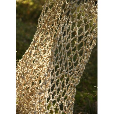 Gladiateur filet - Rétiaire