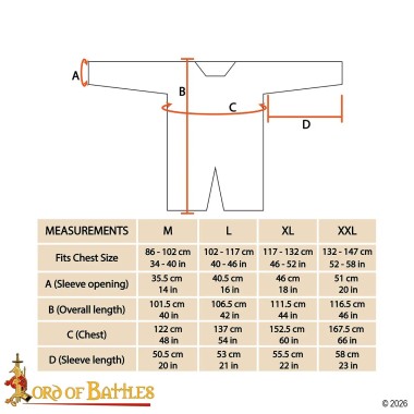 Cotte de mailles Hauberk - anneaux plats rivetée 9mm