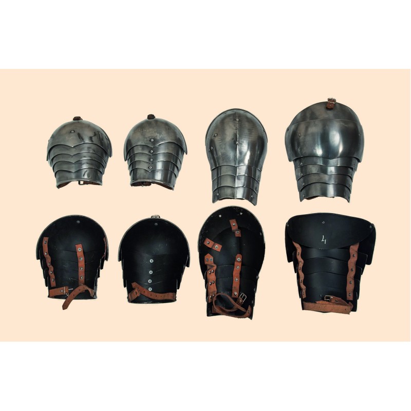 Paire de spalières articulées