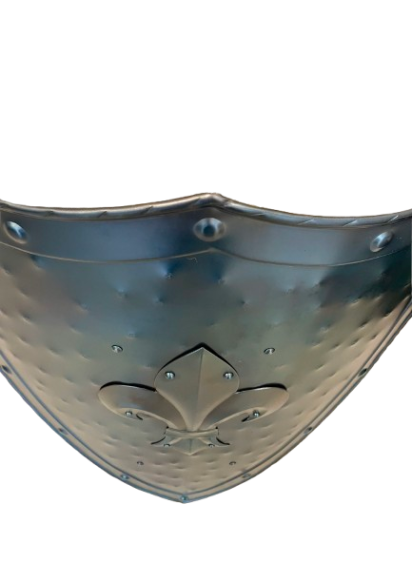 Bouclier Européen - Bouclier symbole de bleuet