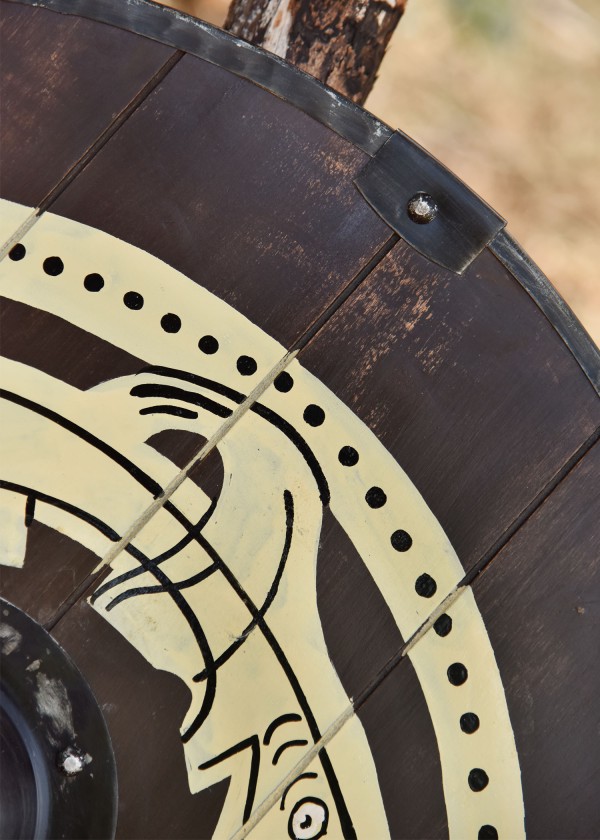 Bouclier viking rond 