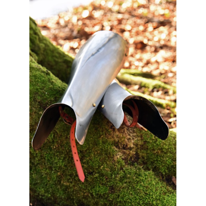 Grèves de chevalier (paire), acier