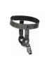 Ceinture de Chasteté (masculine)