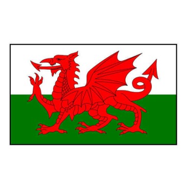 Bouclier Héraldique personnalisée