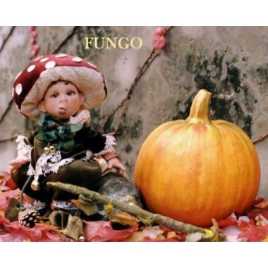 Poupée Elfe Champignon, Poupée Porcelaine Collection, 26 cm